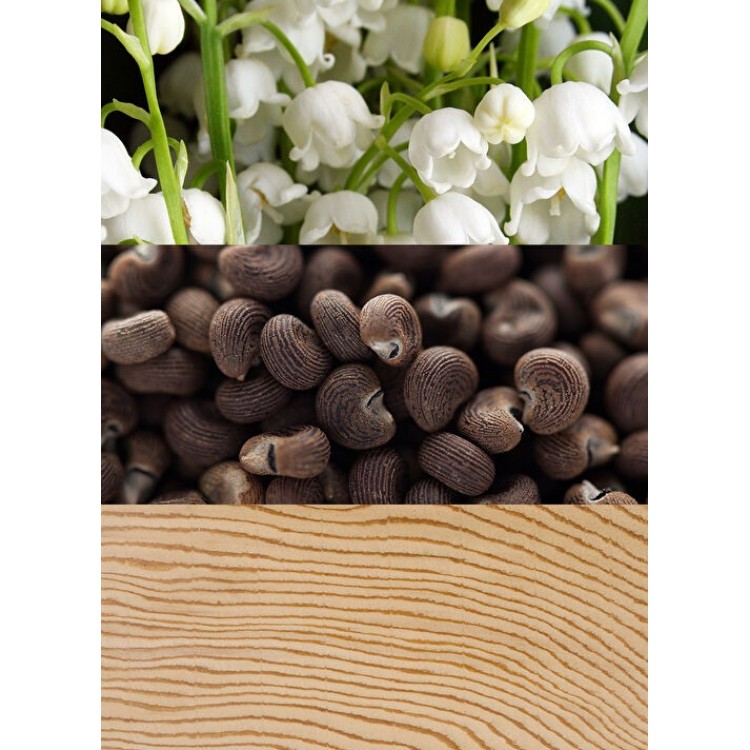 Calvin Klein Beauty Edp 100 ml Kadın Parfüm