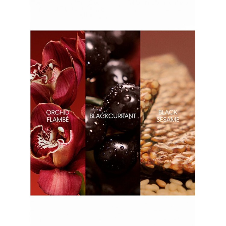 Calvin Klein My Euphoria Edp Parfüm 50 ml