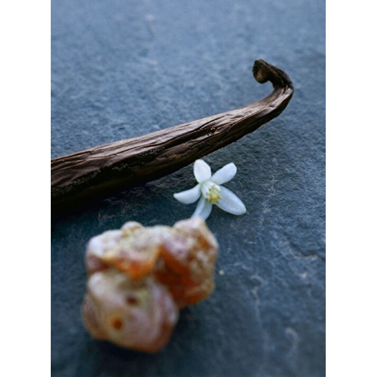 Chloe Nomade Nuit d'Egypte Edp Parfüm 50 ml