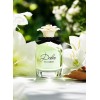 Dolce&Gabbana Dolce Edp 75 ml Parfüm