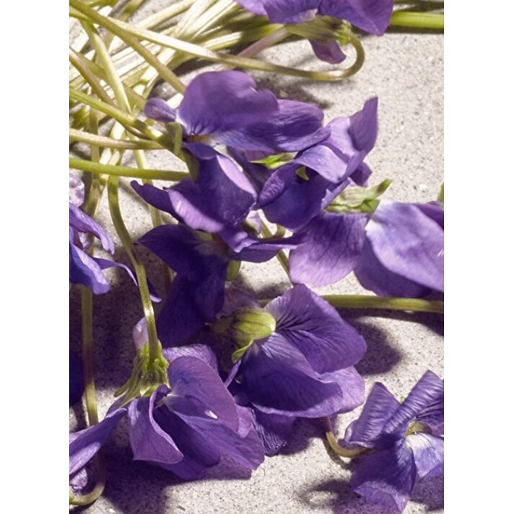 Dolce Gabbana Kadın Parfüm