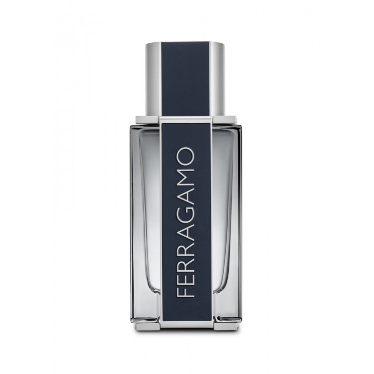Erkek Parfüm Edt 50 ml