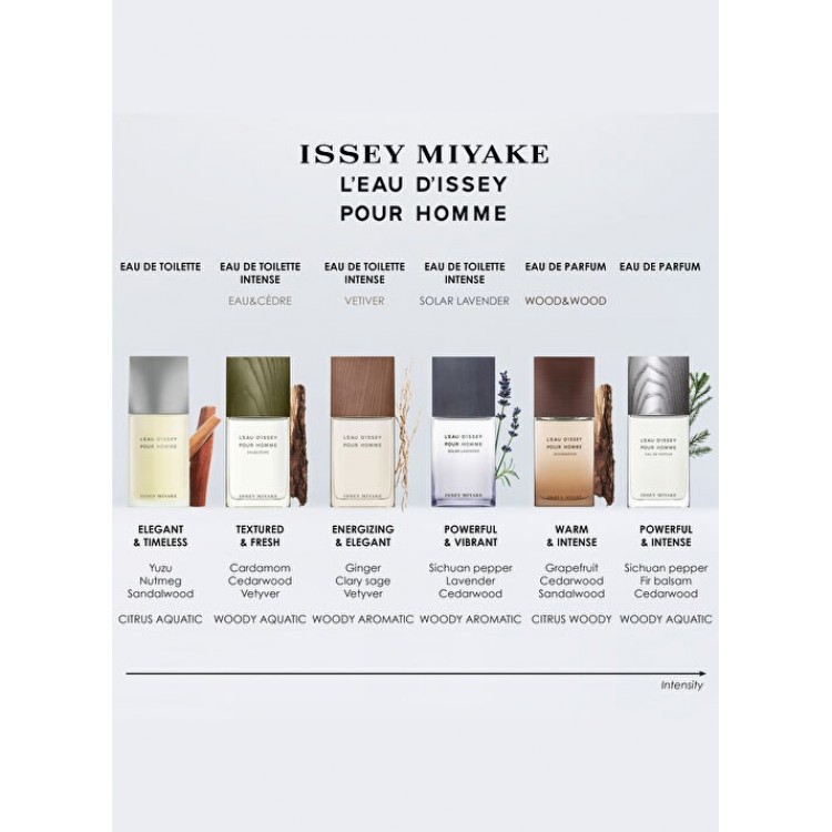 Issey Miyake Erkek Parfüm
