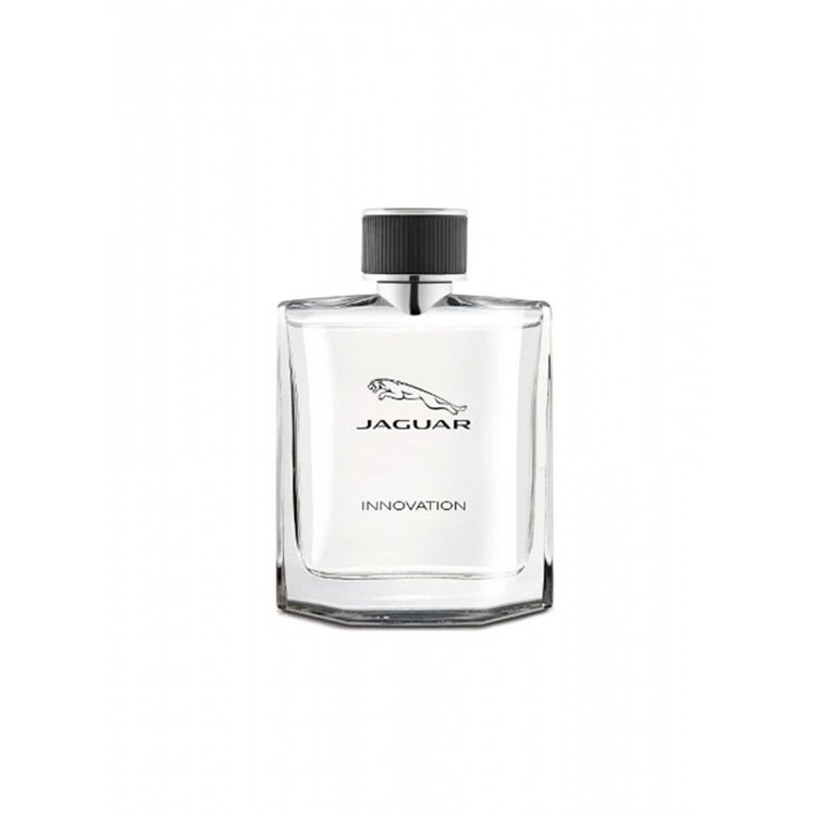 Jaguar Innovation EDT 100 ml Erkek Parfüm