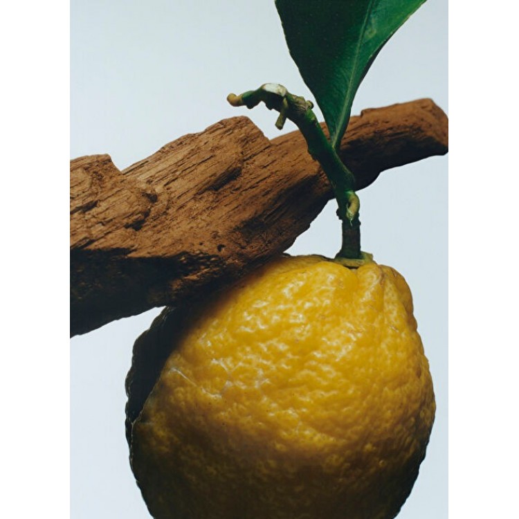 Oud & Bergamot Cologne Intense 100ml